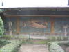 http://www.travelingshoe.com/photos/italy/pompeii/(mt) Paestum - 37.jpg