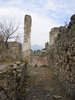 http://www.travelingshoe.com/photos/italy/pompeii/(mt) Paestum - 47.jpg